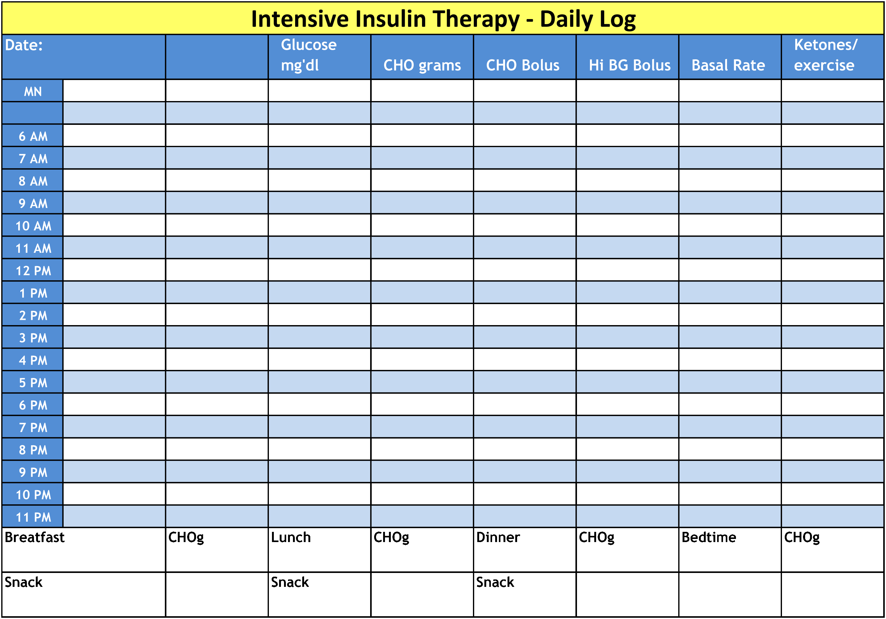 Printable Insulin Log Book