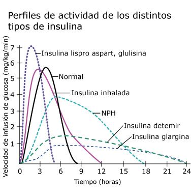 Perfiles de actividad de los diferentes tipos de insulina