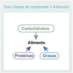 Tres clases de nutrientes en los alimentos