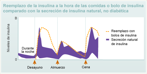 Reemplazo de la insulina a la hora de la comida o en bolo comparada con la secreción de insulina natural, no diabética