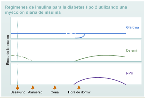 Regímenes de insulina para la diabetes tipo 2 utilizando una inyección diaria de insulina