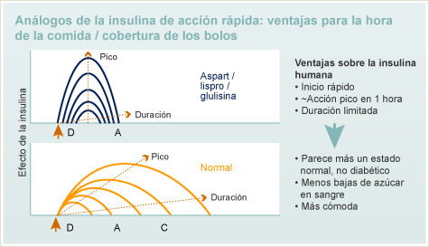 Análogos de la insulina de acción rápida - Cuadro de cobertura Ventajas para la hora de la comida / bolo