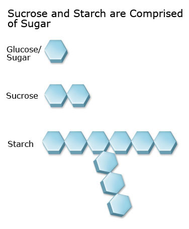 Sucrose and starch are comprised of glucose
