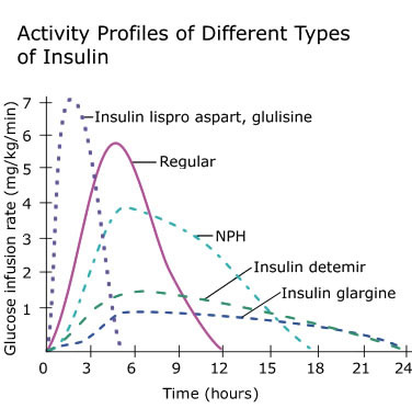 Activity Profiles of Different Types of Insulin