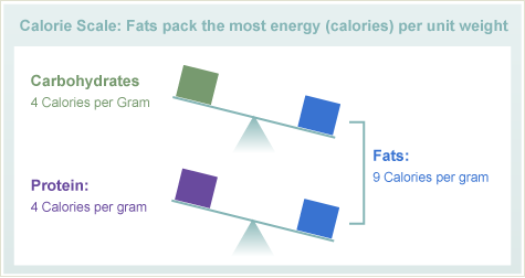 Calorie Scale: Fats pack the most energy (calories) per unit weight