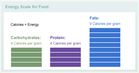 Energy Scale for Food Graph