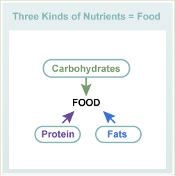 Three Kinds of Nutrients in Foods