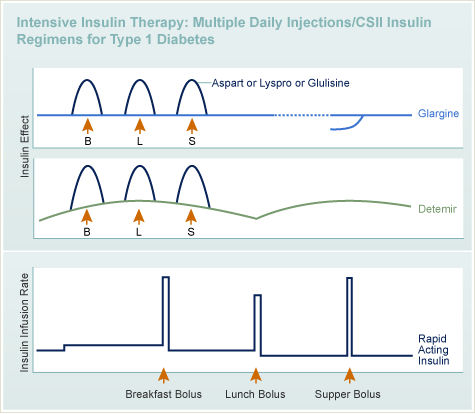 Intensive Insulin Therapay : Insulin Effect Chart