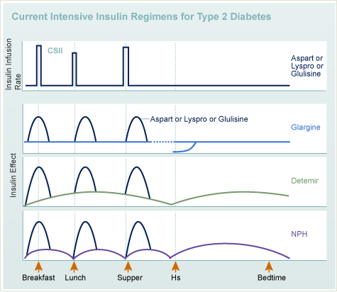 Current Intensive Insulin Regimens for Type 2 Diabetes