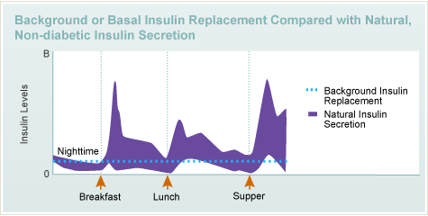 Background or Basal Insulin Replacement Compared with Natural, Non-diabetic Insulin Secretion