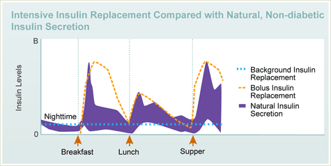 Intensive Insulin Replacement Compared with Natural, Non-diabetic Insulin Secretion