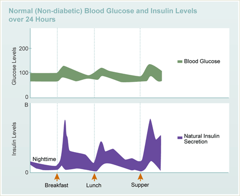 Normal (Non-diabetic) Blood Glucose and Insulin Levels over 24 Hours
