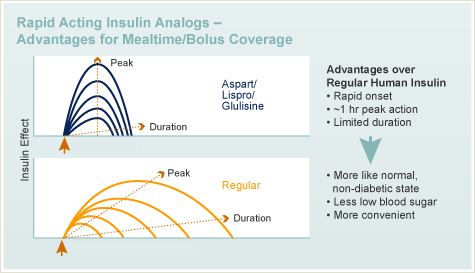 Rapid Acting Insulin Analogs - Advantages for Mealtime/Bolus Coverage chart