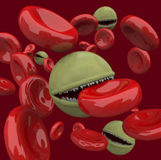 ilustración de glóbulos sanguíneos